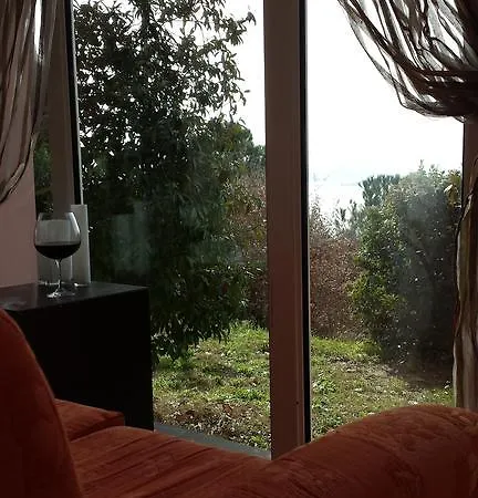 Solelago